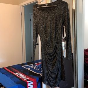 Black sparkly long sleeve dress from Express. Size large